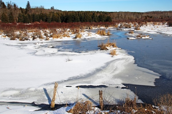 January Roadside Pond I by Deb Oppermann